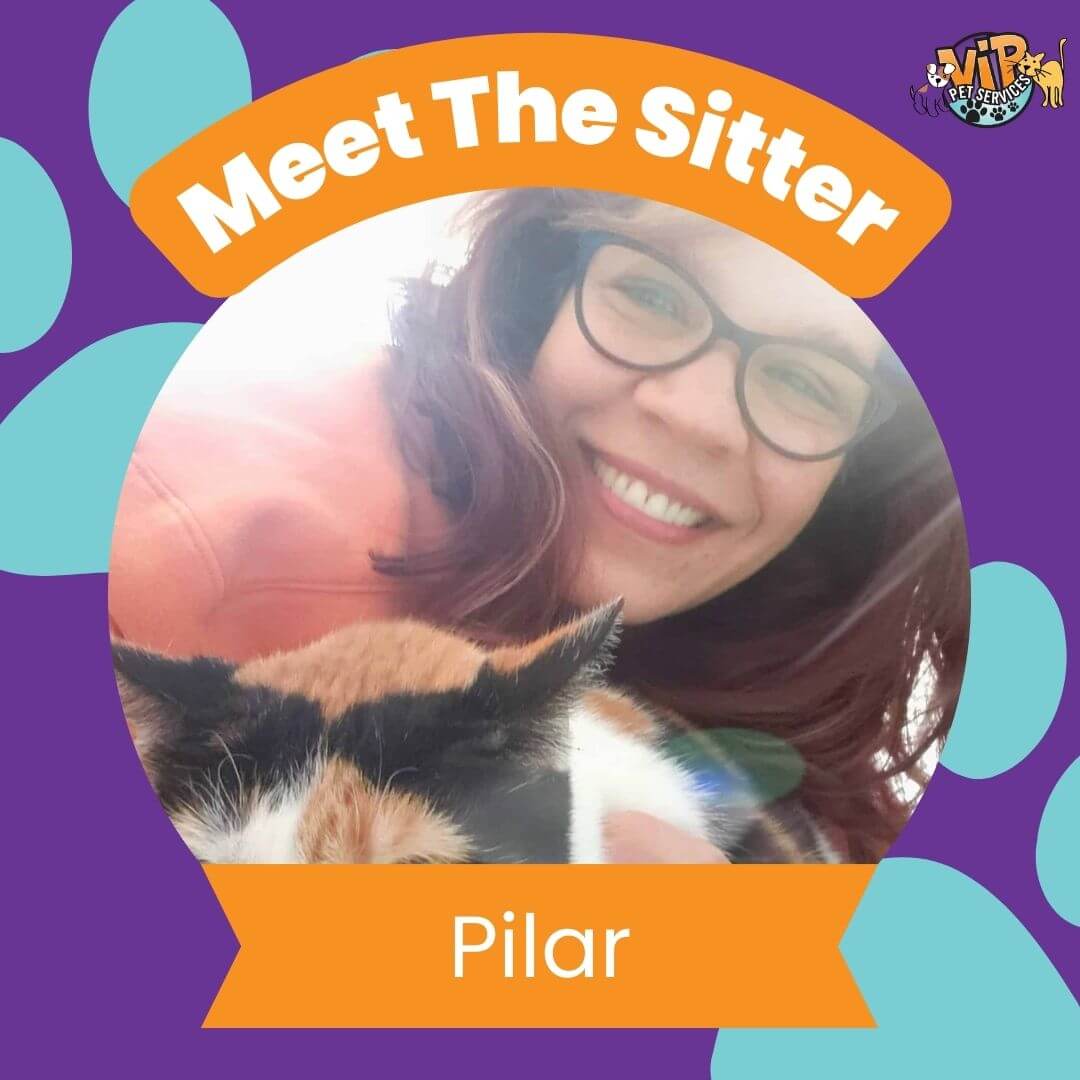 pilar pet sitter pilar