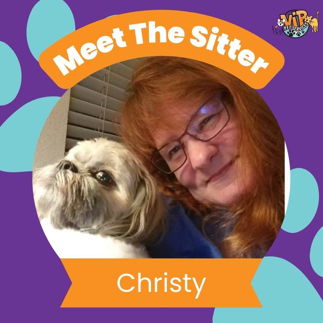 christy pet sitter christy
