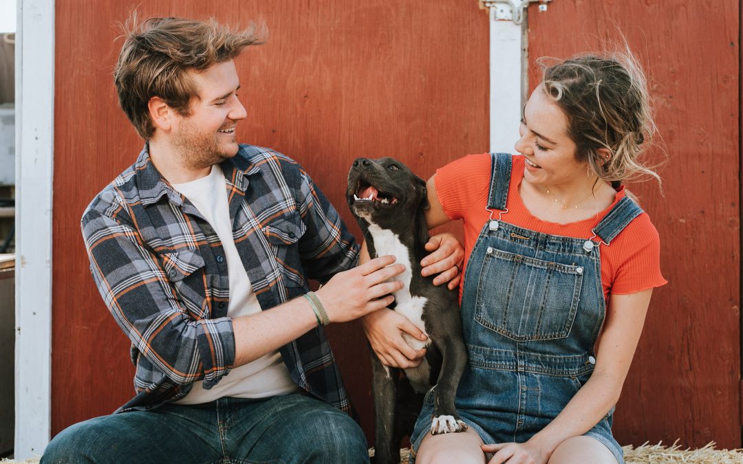 The Best Places to Adopt Rescue Pets in Dallas and Austin