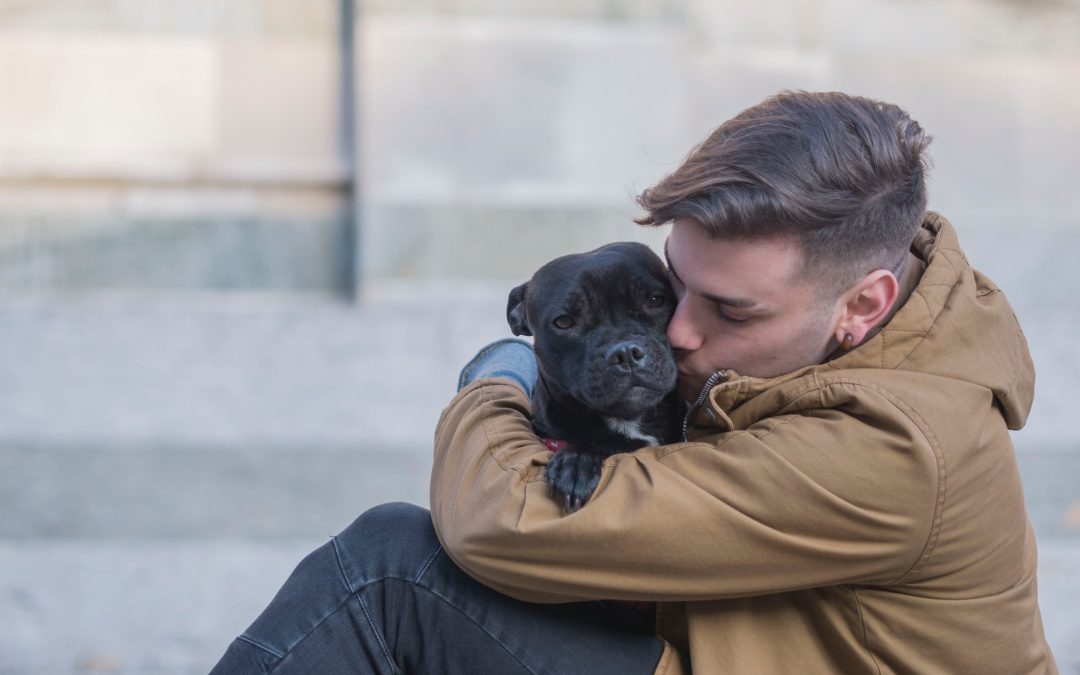 The Ultimate Guide to Pet Sitting Costs in Plano