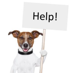 Pets Help