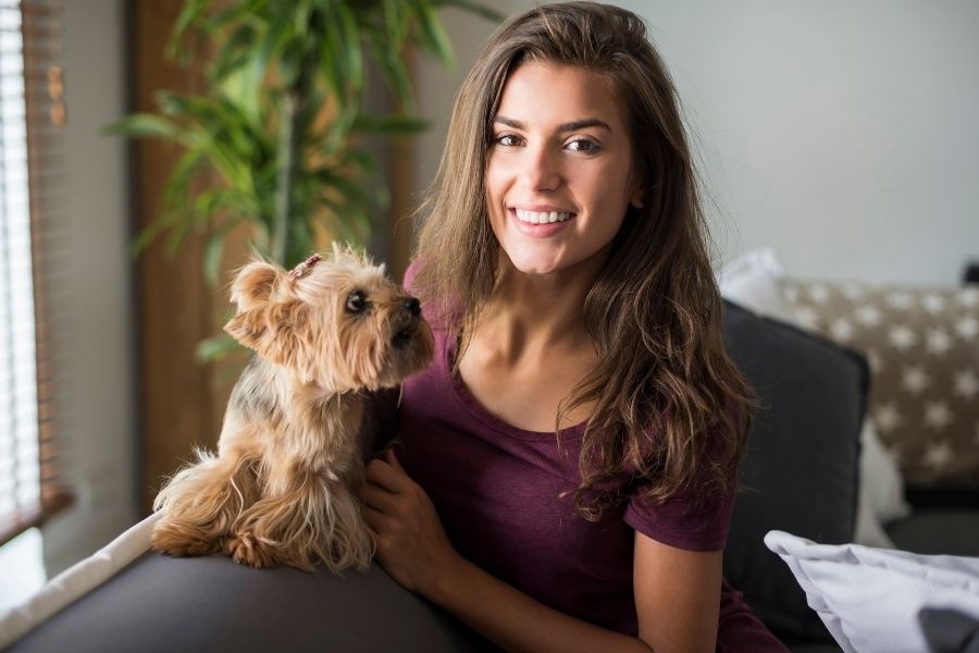 How Much Does Pet Sitting Cost in Frisco