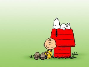 Springtime Yard Cleaning Is Important For Pets