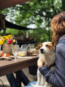 Dining out with dog in Plano Tx