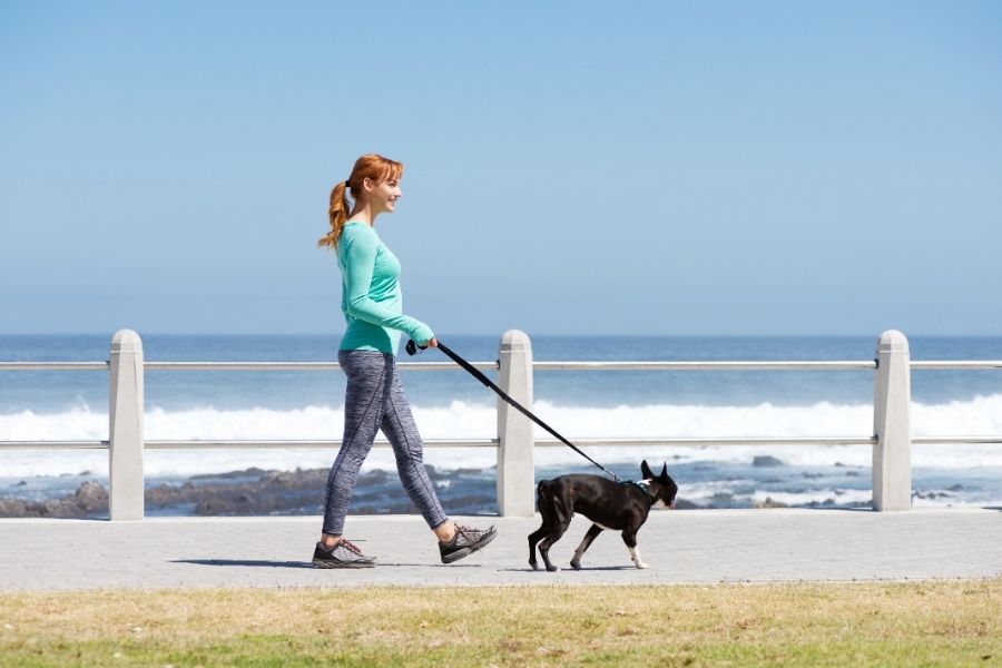 You Should Hire a Frisco Dog Walker