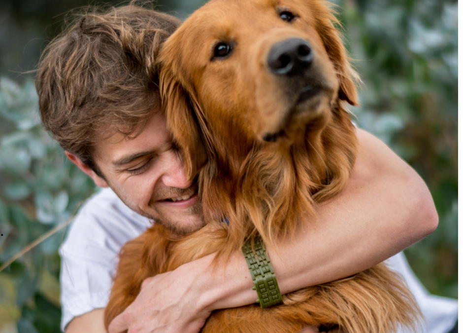 How to Give Your Cat or Dog Dad the Best Father’s Day Ever
