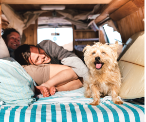 Couple in RV explore pet-friendly campgrounds in Austin with their dog