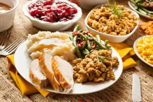 Thanksgiving Dinner to Go in Austin TX is one way to help homeless pets