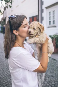 Cute puppy being held by dog walker in Austin making extra holiday money