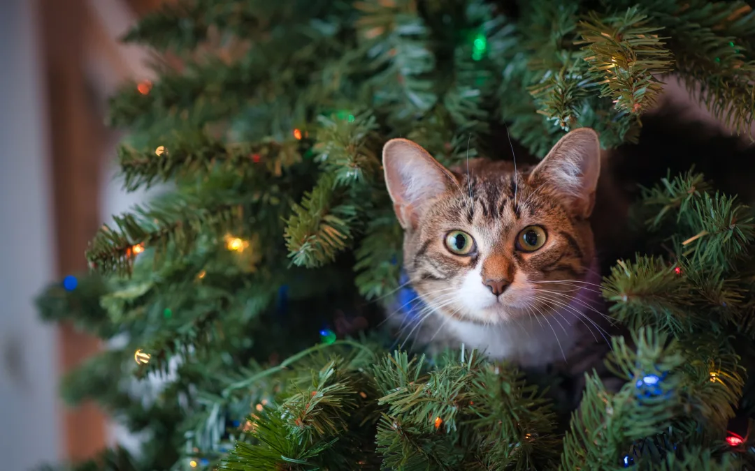 4 Easy Ways to Make Extra Holiday Money for Stay-at-Home Moms