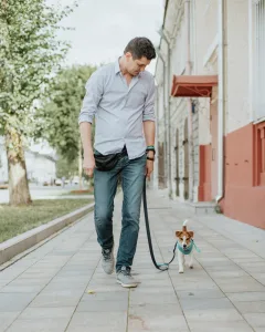 Dog walker in Austin with Terrier walking calmly