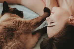 PET LOVE