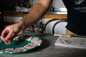 Man makes homemade pet treat recipes for his cat who watches on