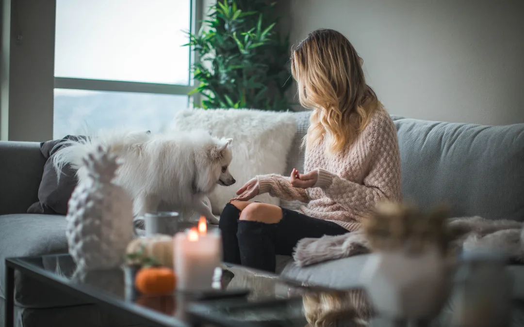 PUPcorn Night: Easy Dog-Friendly Movie Snacks
