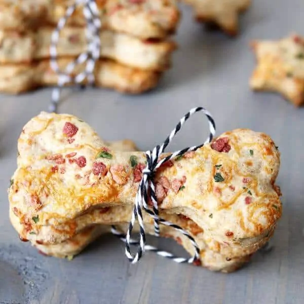 The Best Homemade Pet Treat Recipes for Thanksgiving